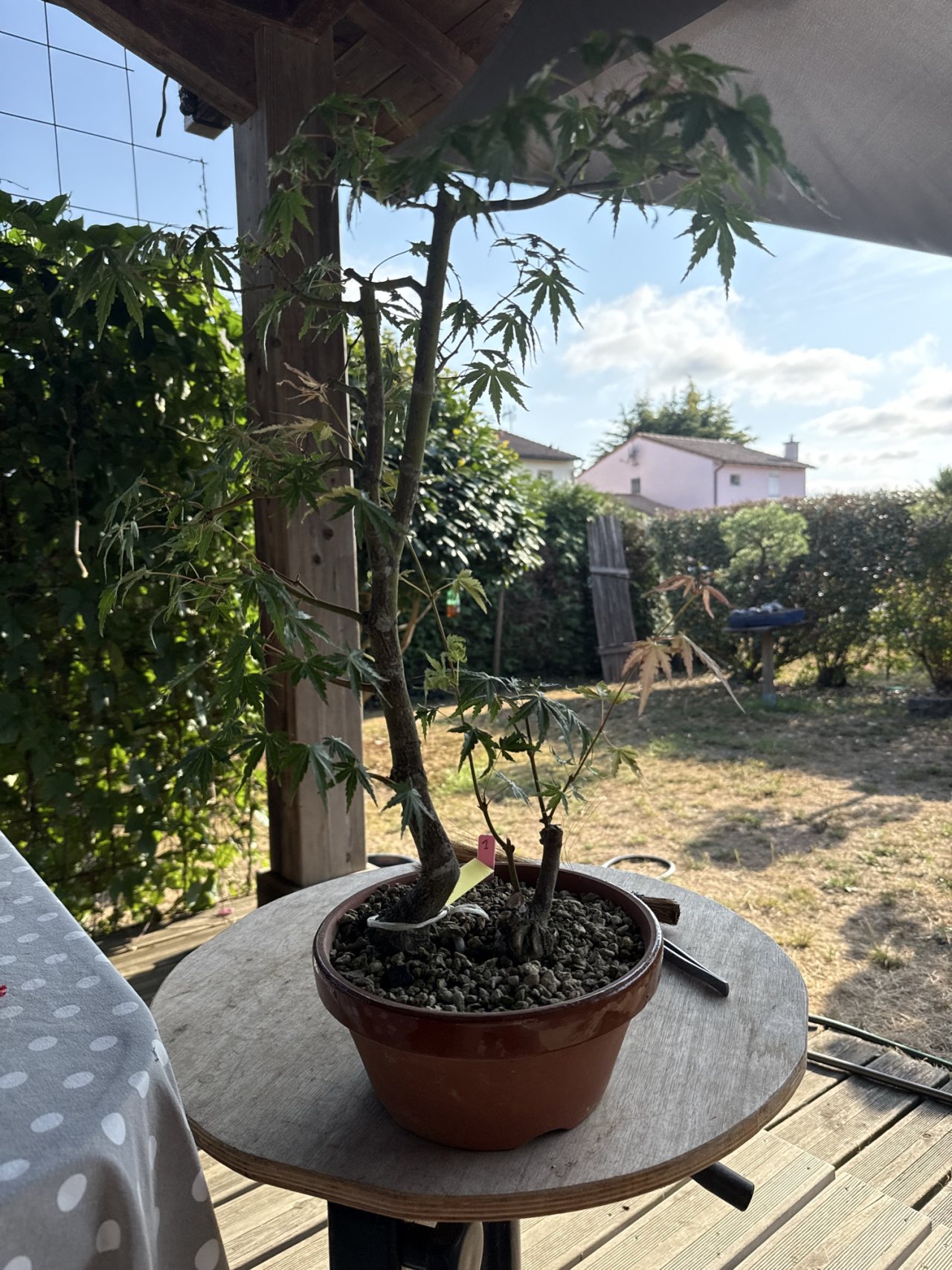 Photo 14