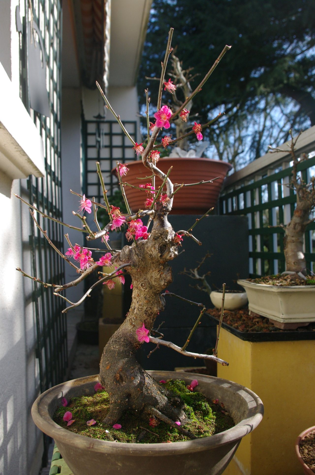 Photo 4