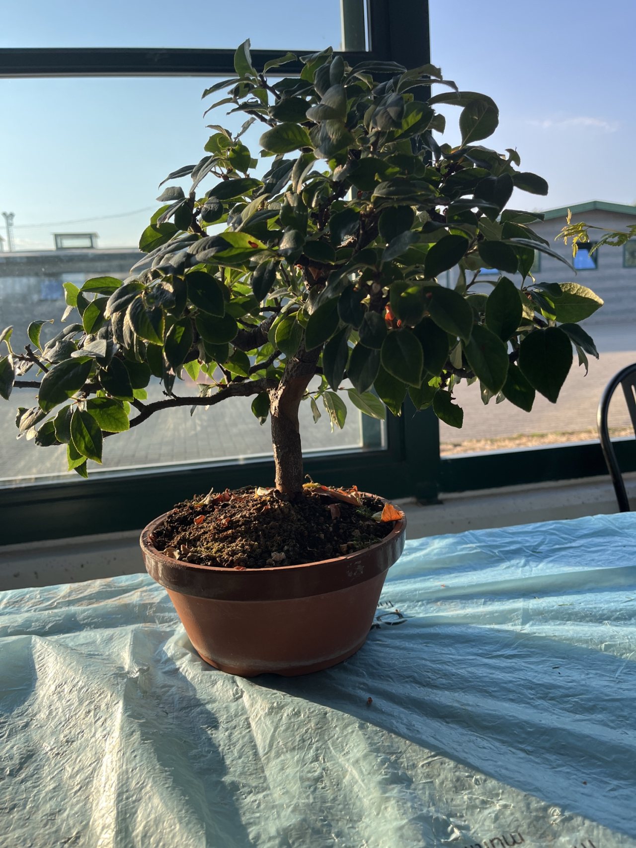 Photo 14
