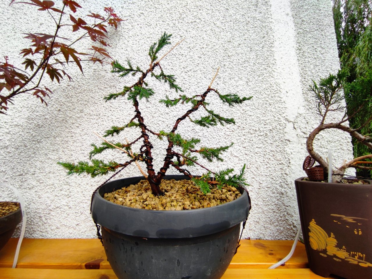 Photo 6