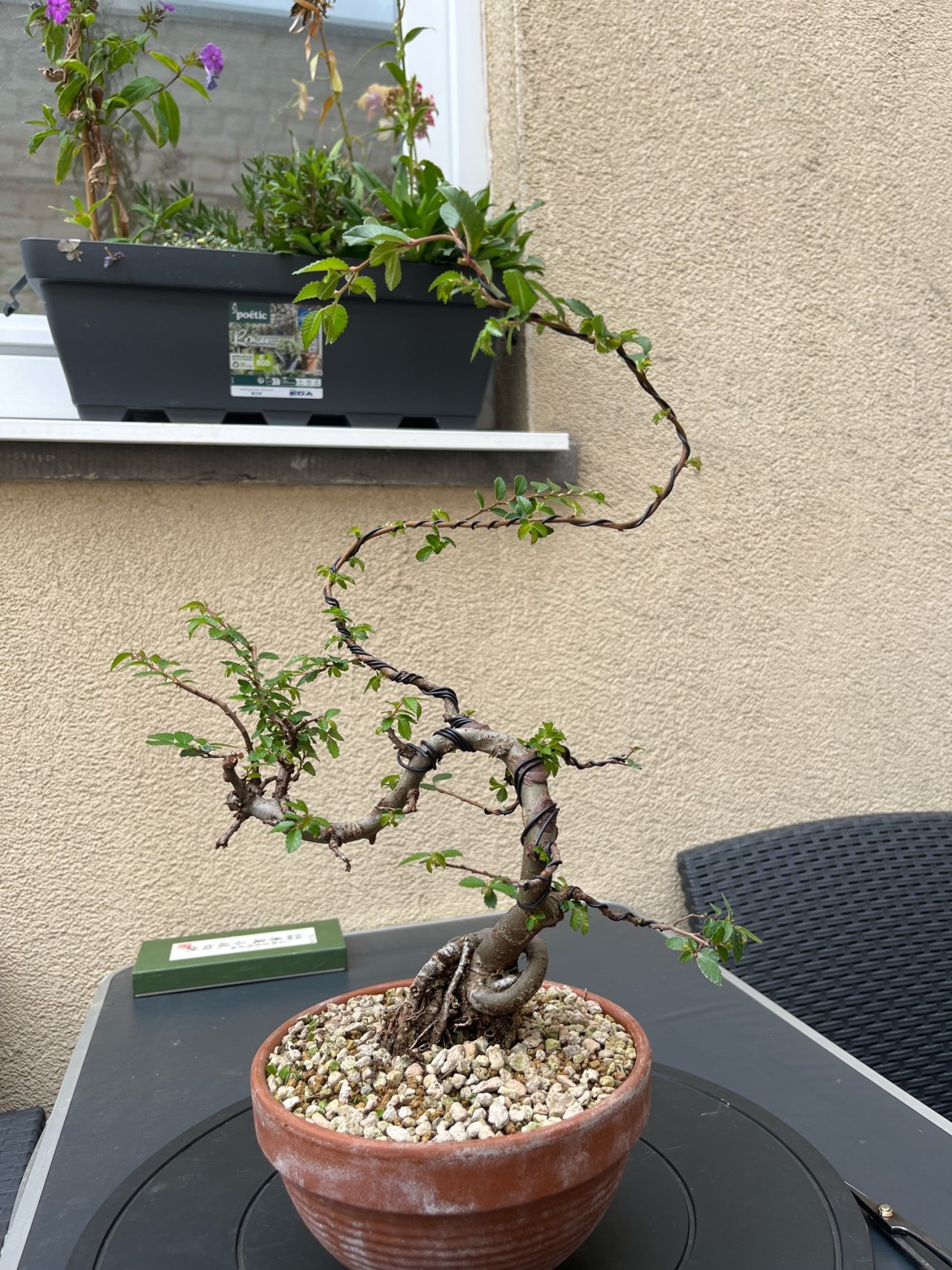 Photo 15