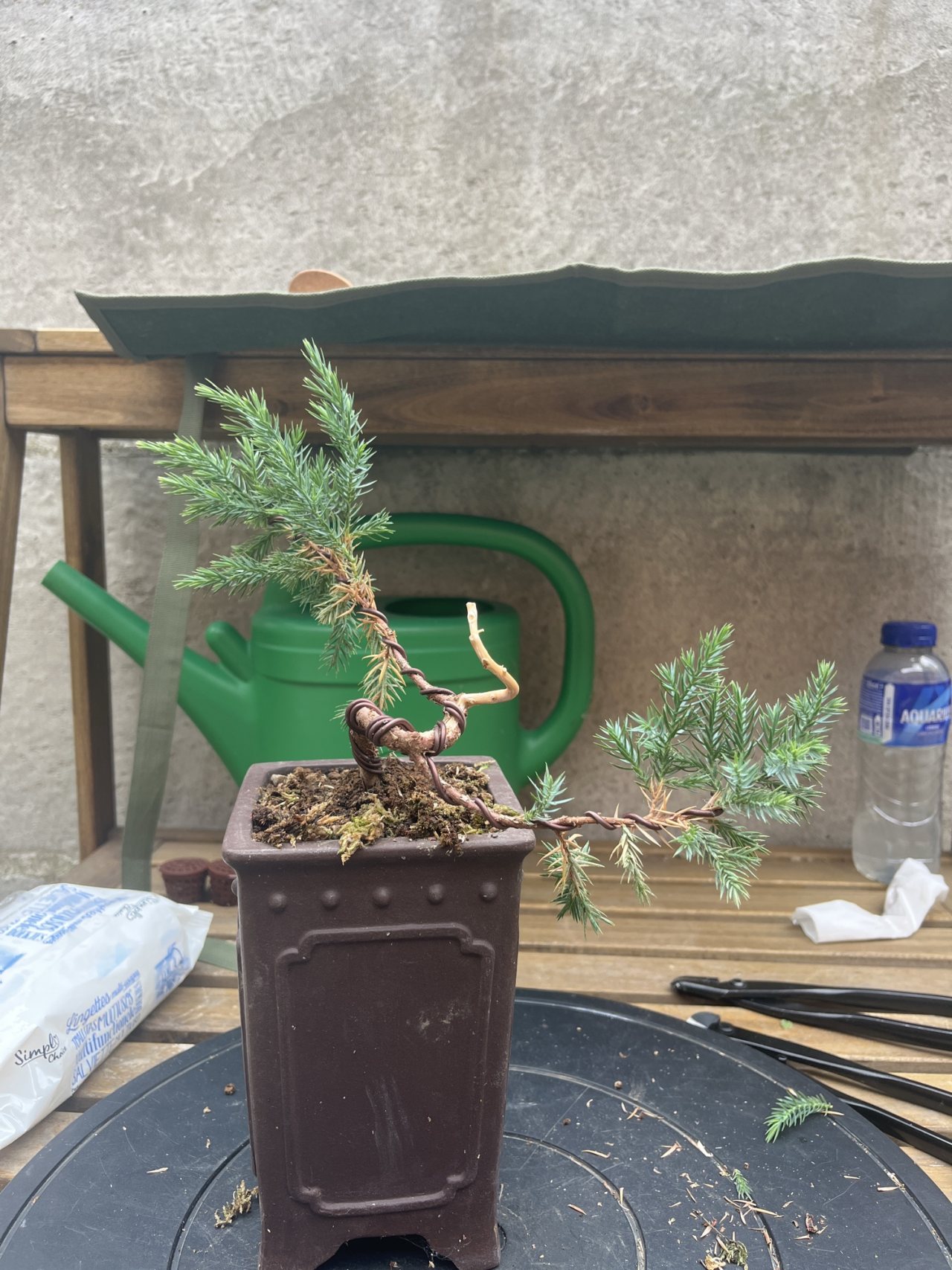 Photo 16