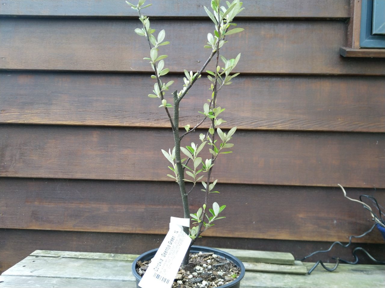 Photo 2