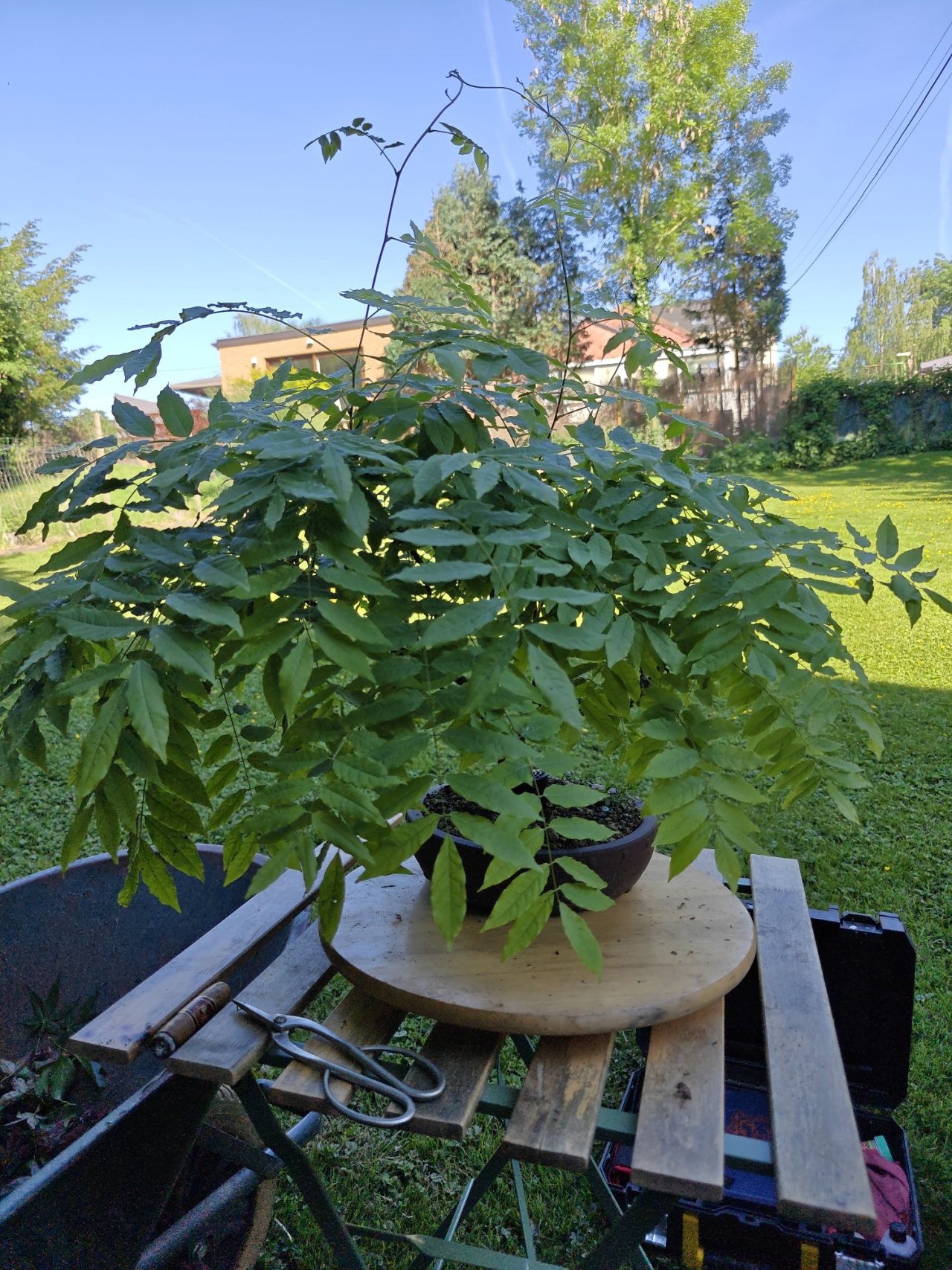 Photo 2