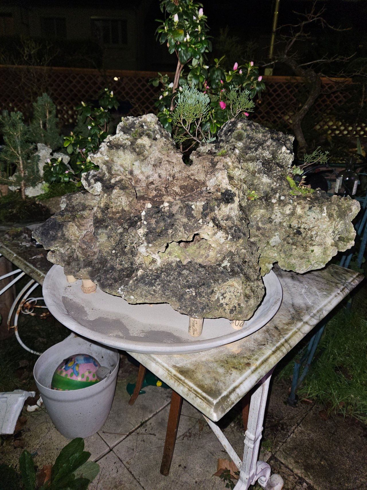 Photo 10