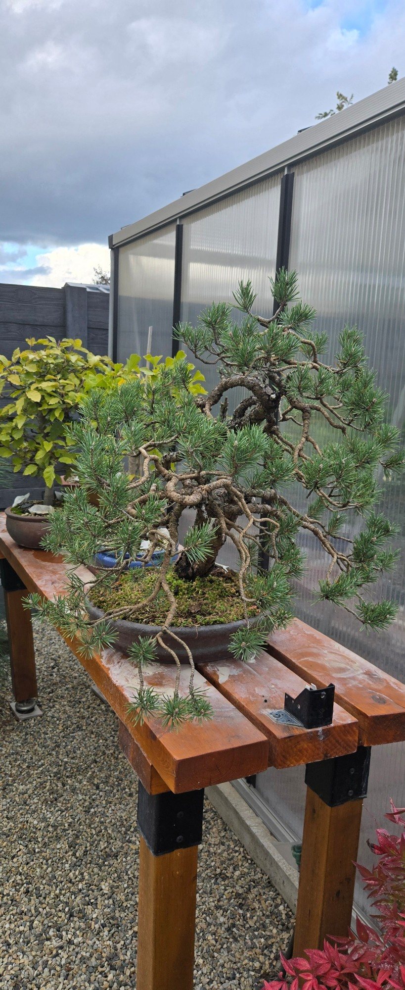 Photo 4