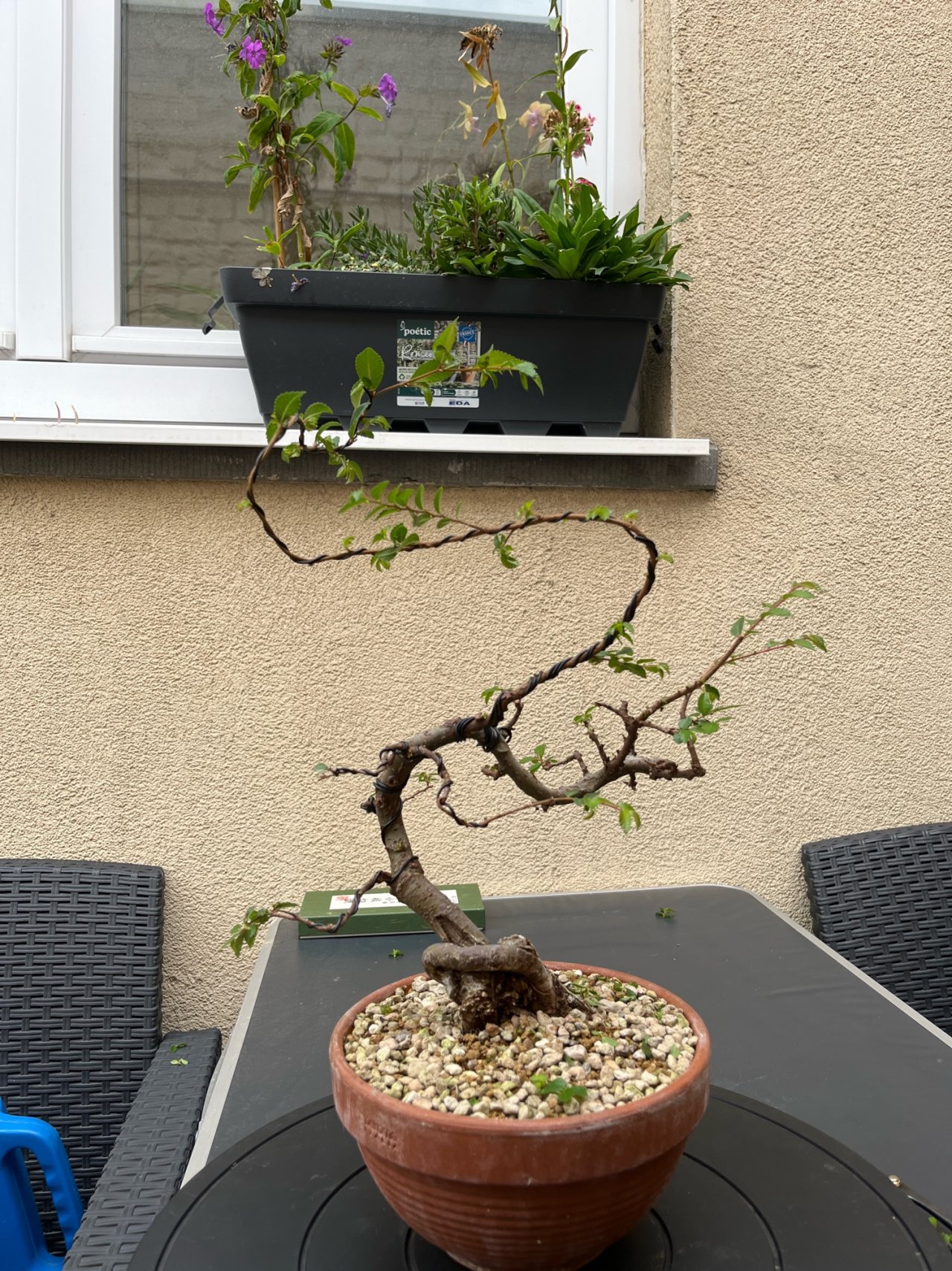 Photo 18