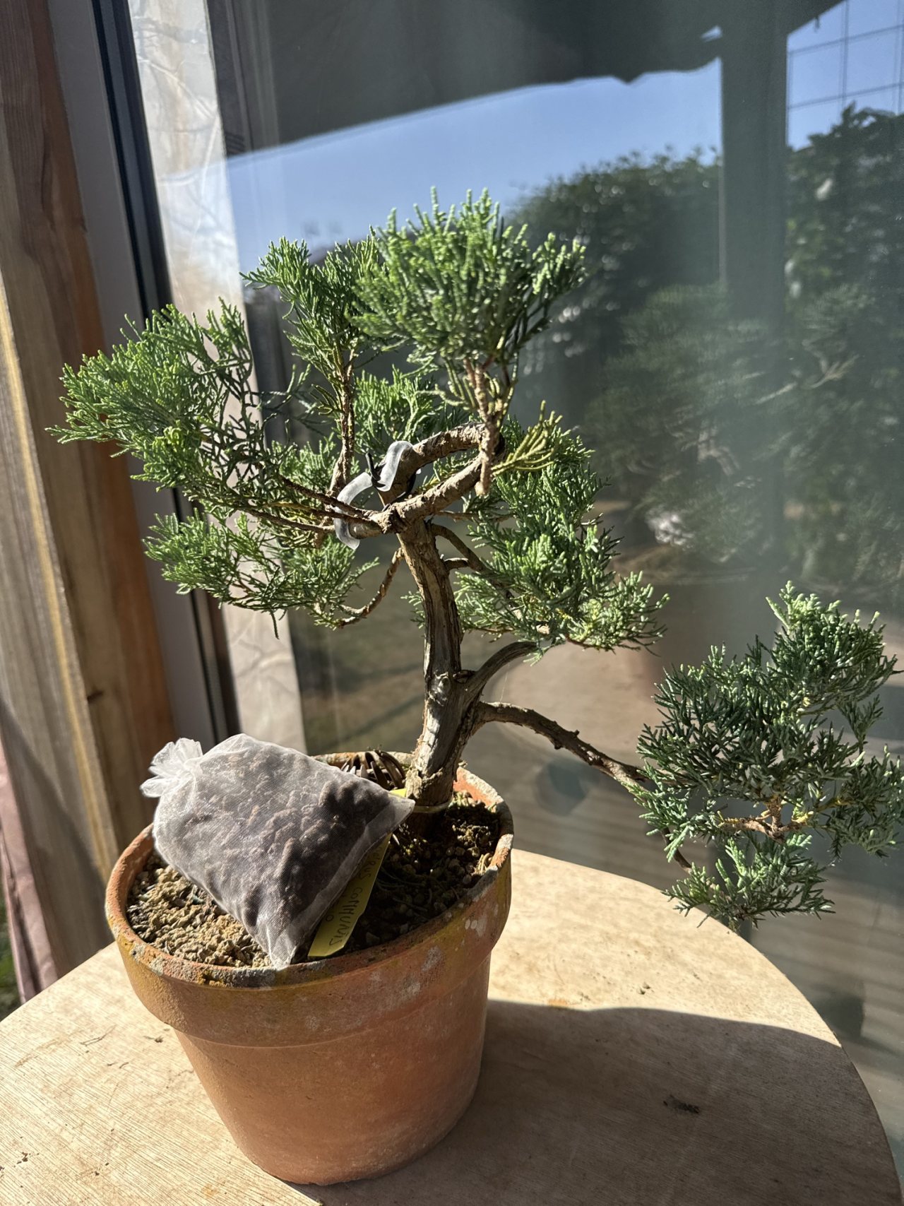 Photo 14