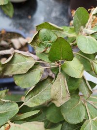 Behandlung - 11.04.26 - Photo 1/2