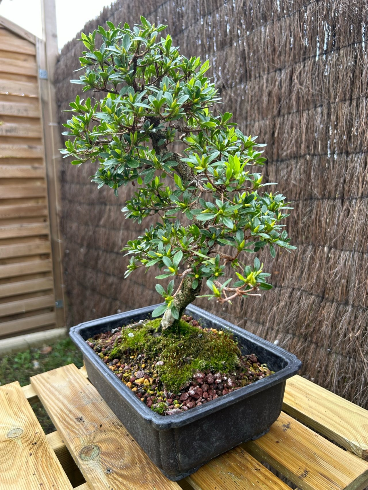 Photo 3