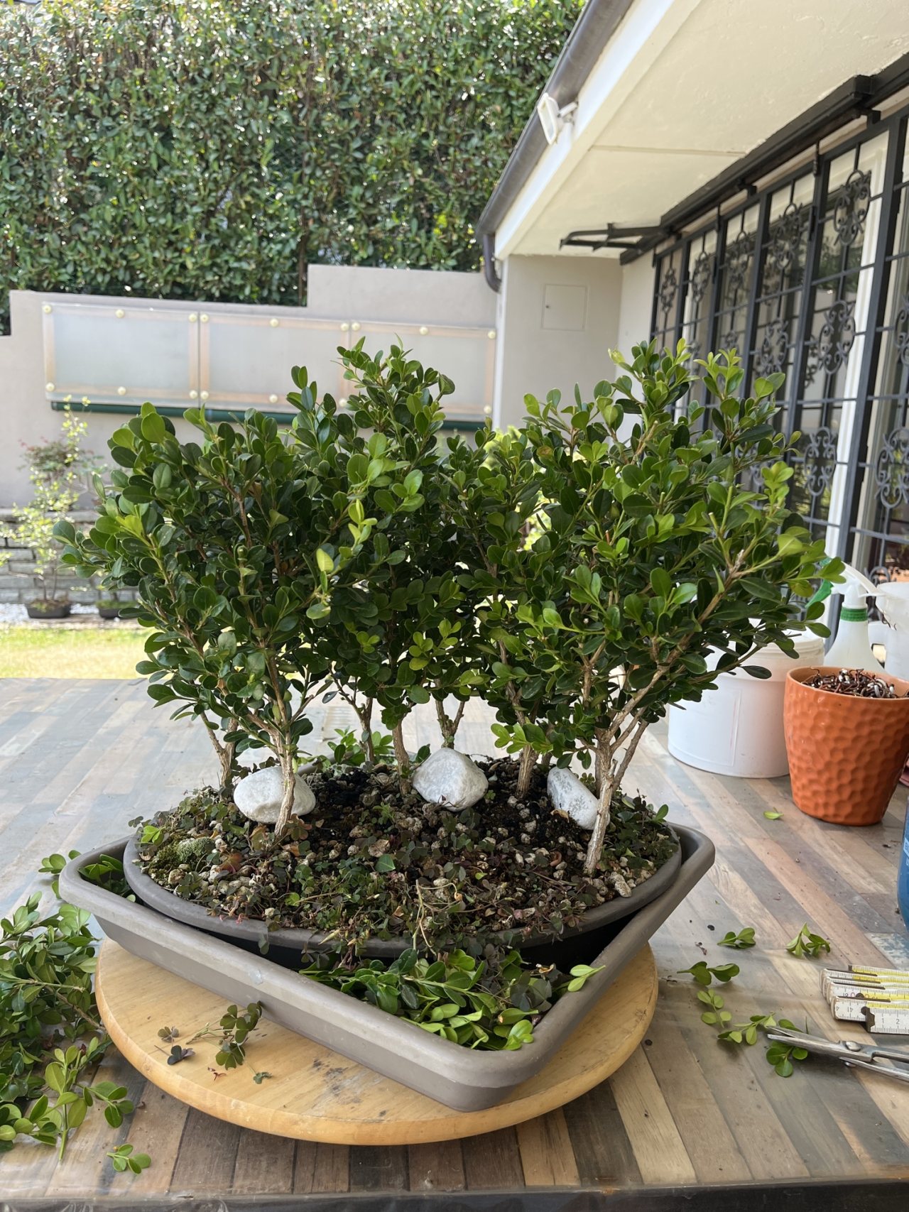 Photo 10