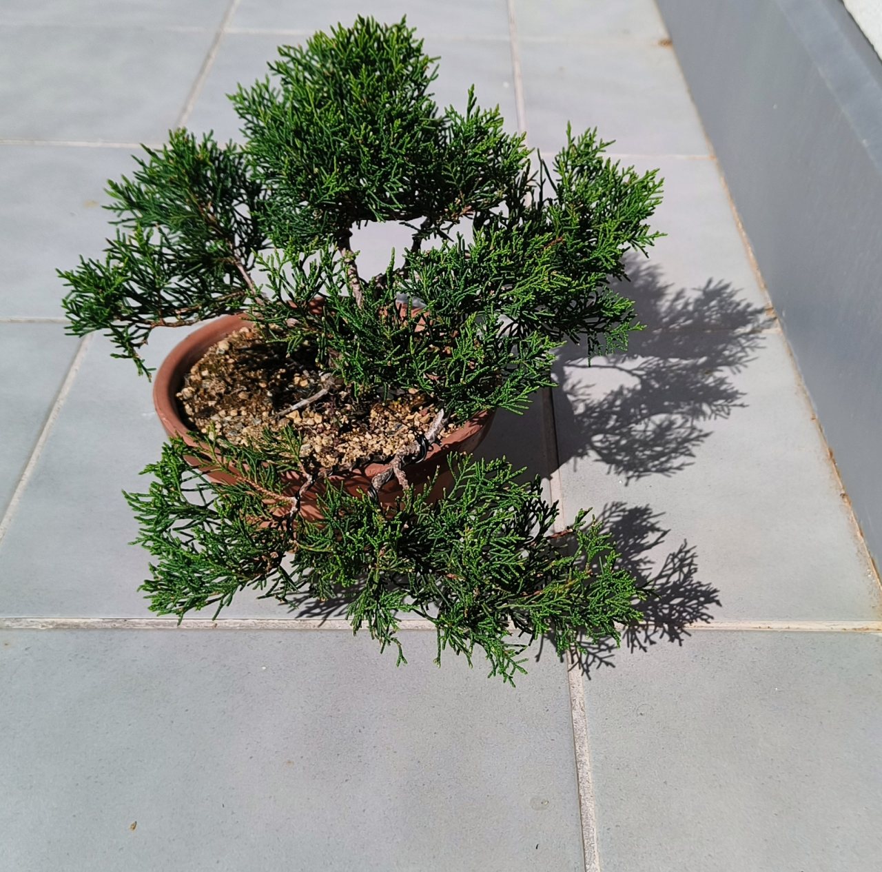 Photo 16