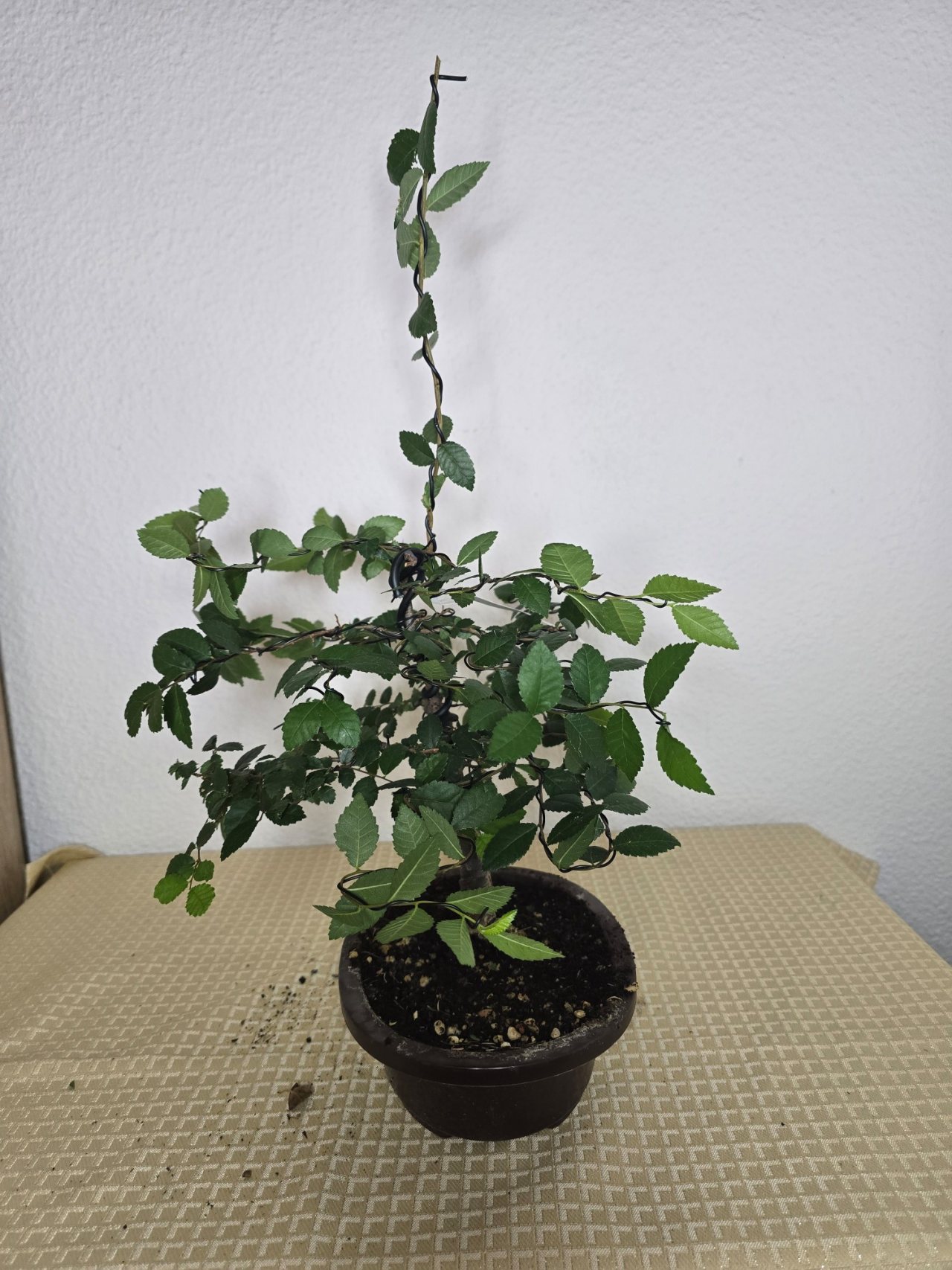 Photo 14