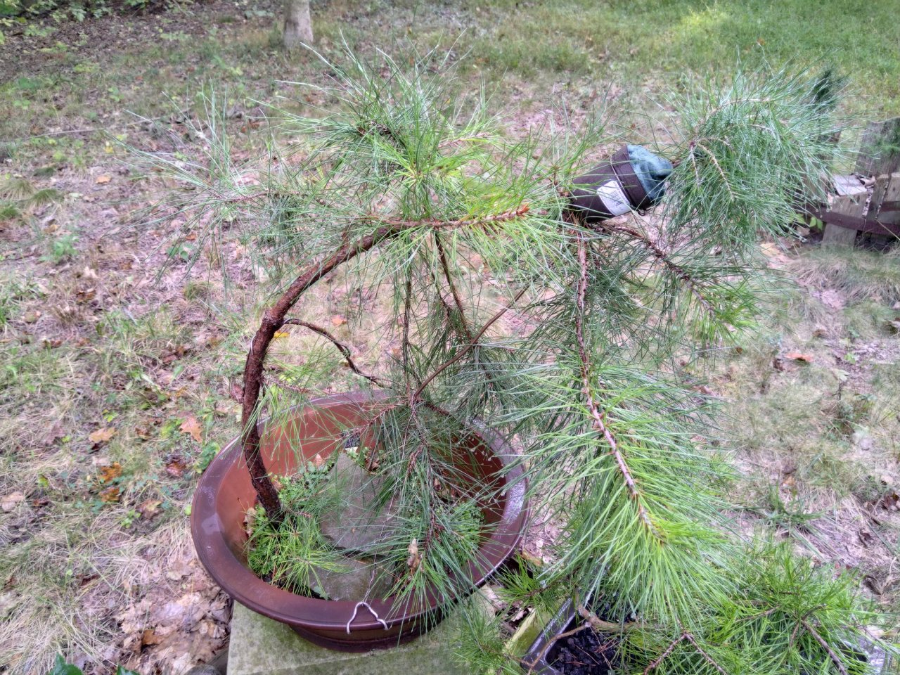 Photo 5