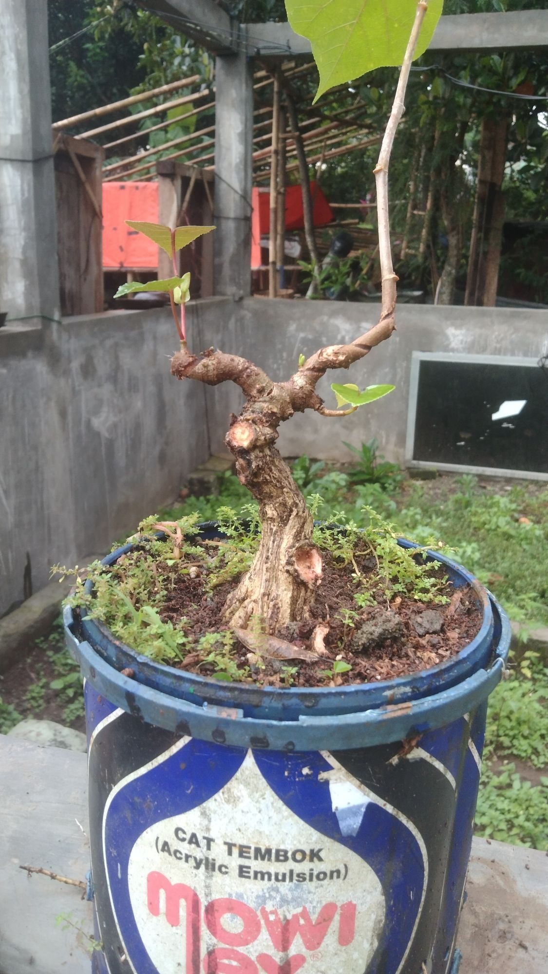 Photo 2