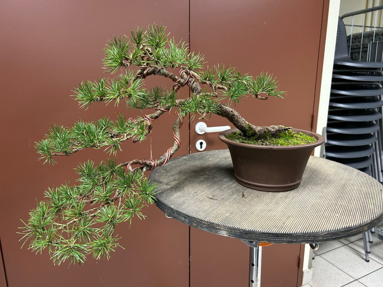 Photo 3