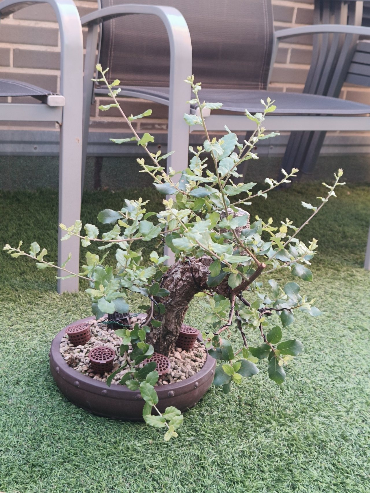 Photo 13