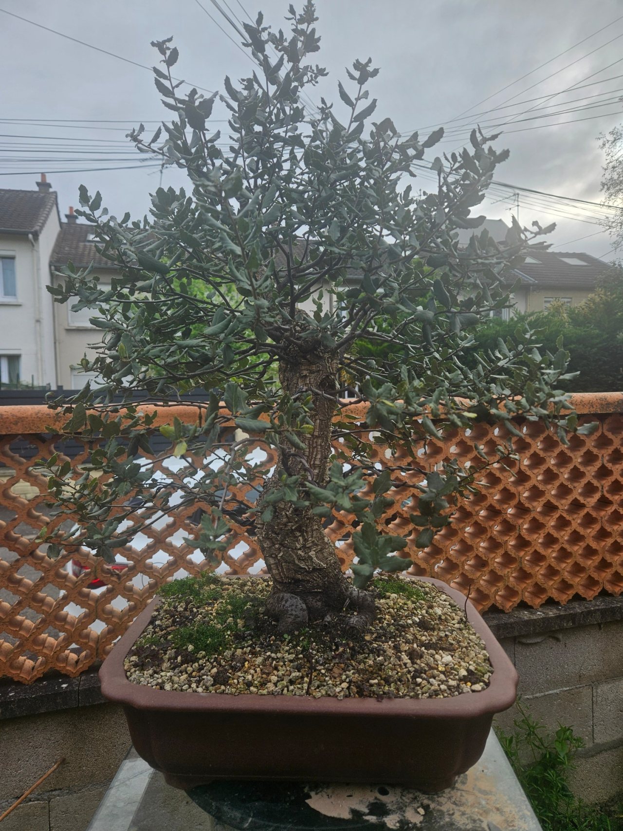 Photo 19