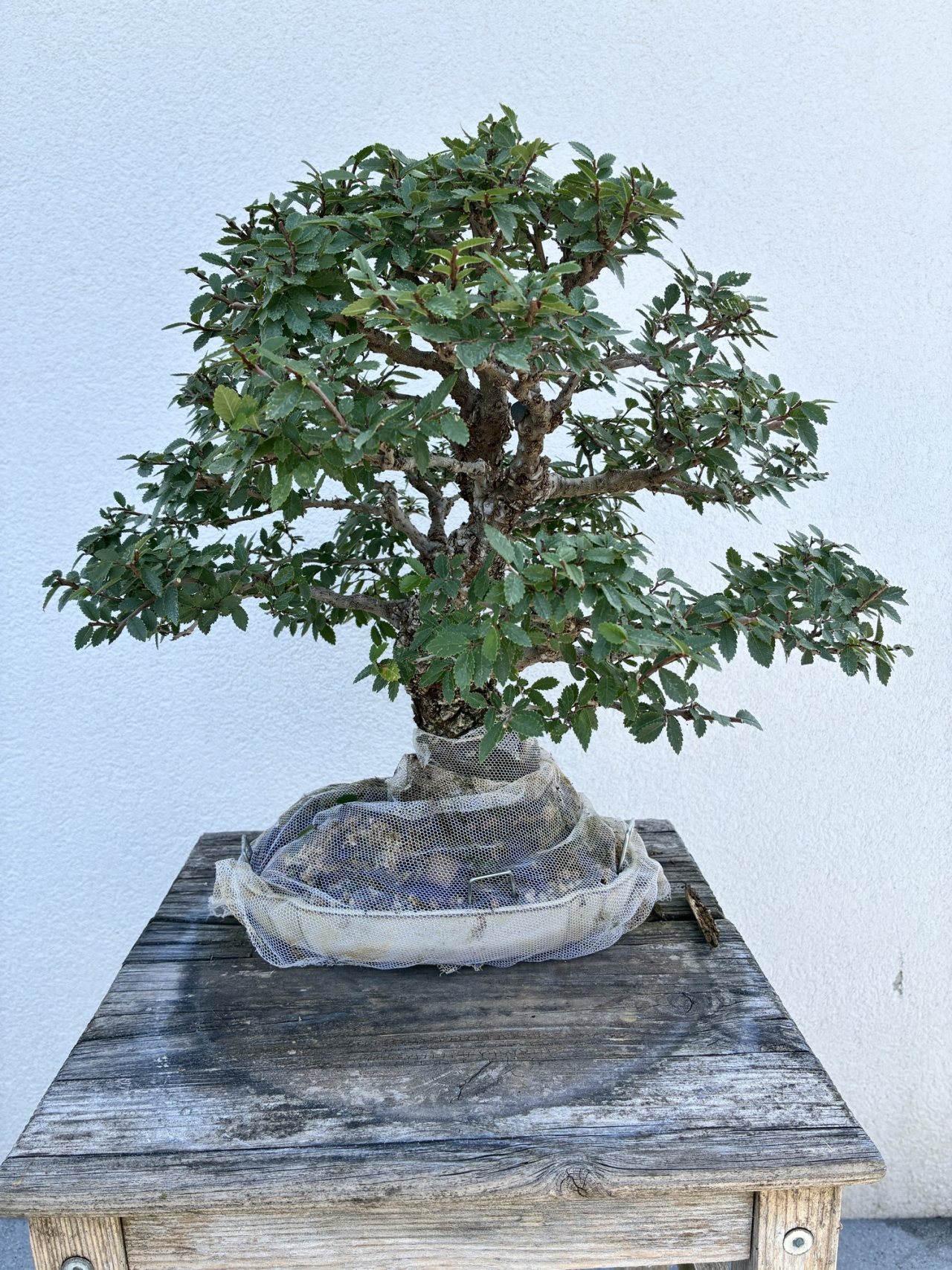 Photo 21