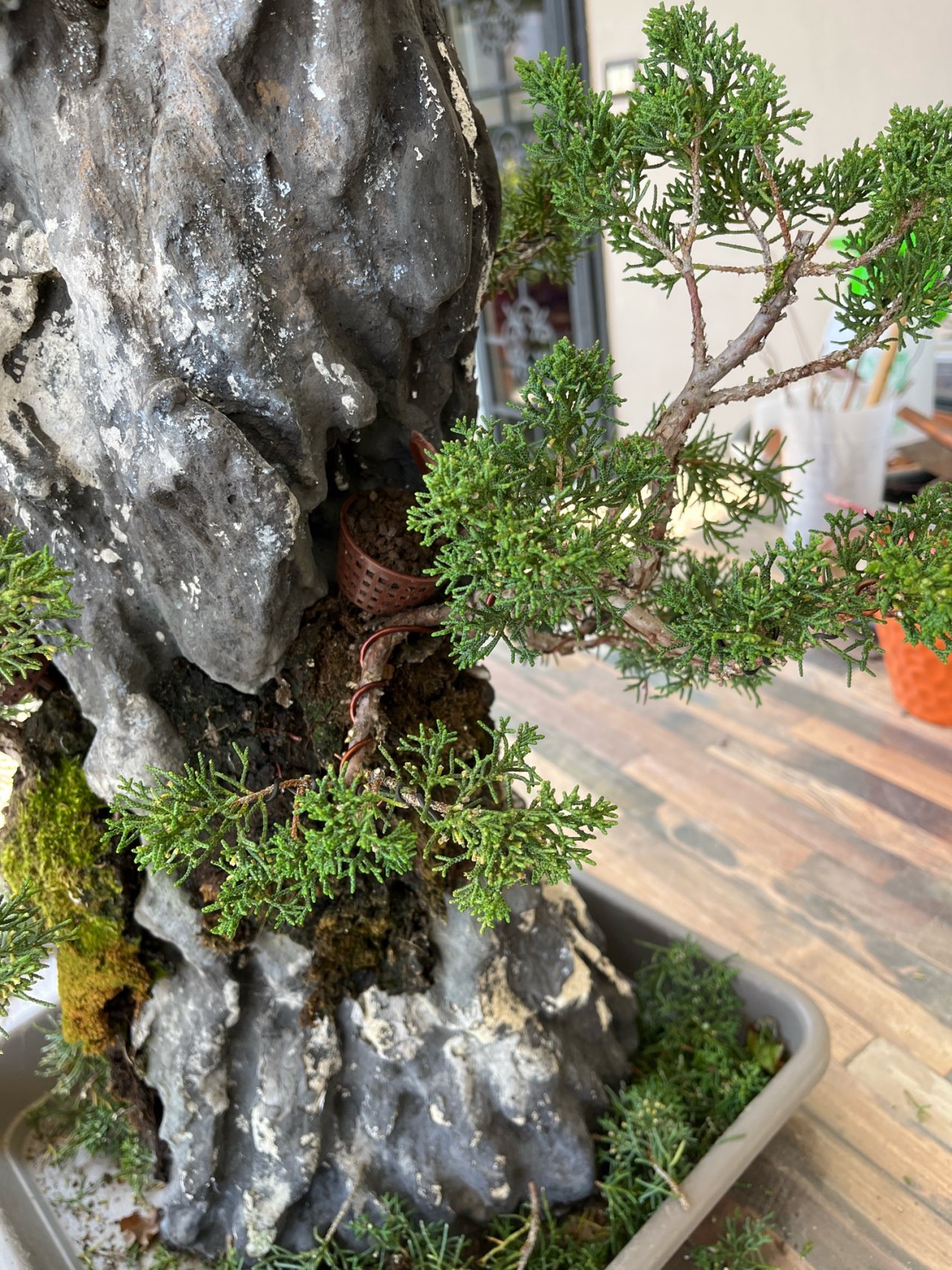 Photo 5