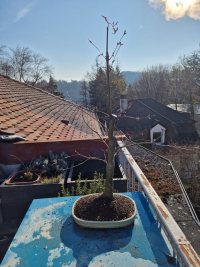 Umtopfen - 20.03.26 - Photo 1/2