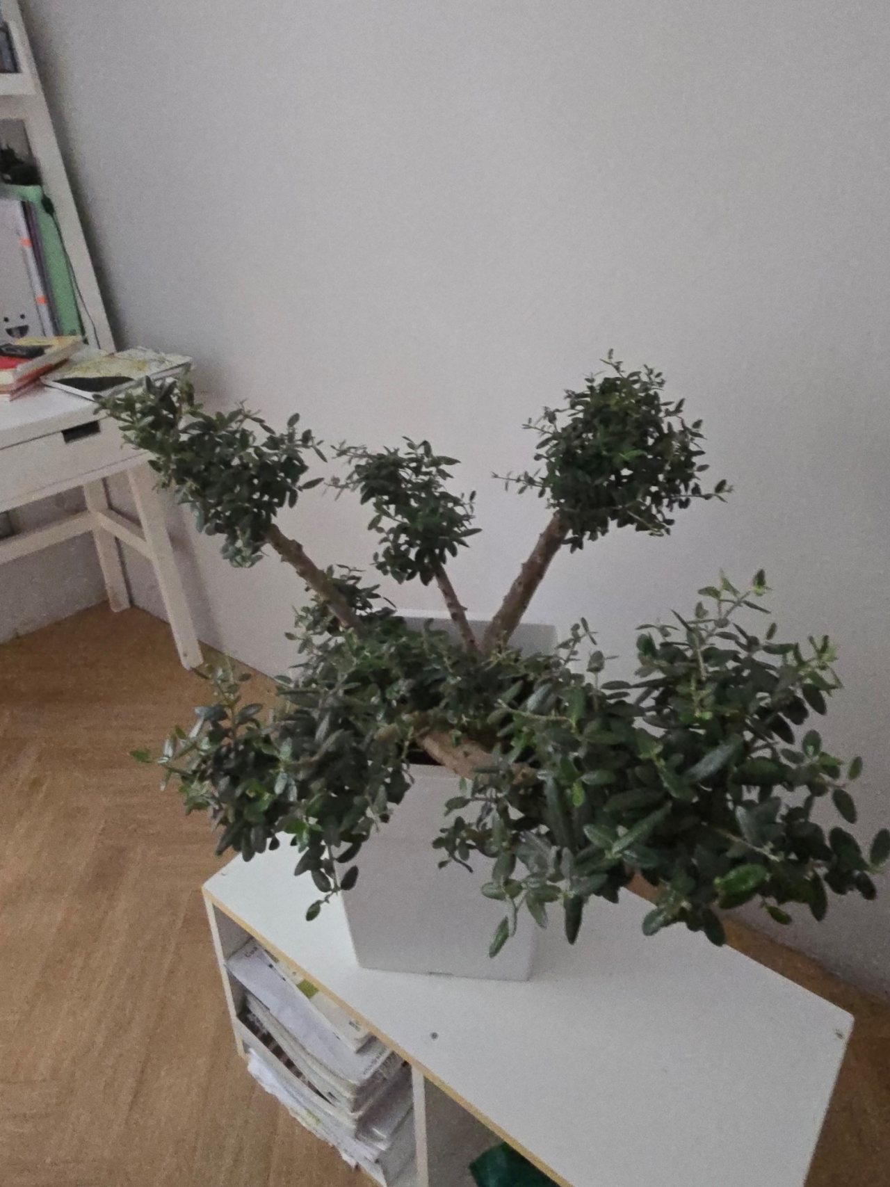 Photo 18