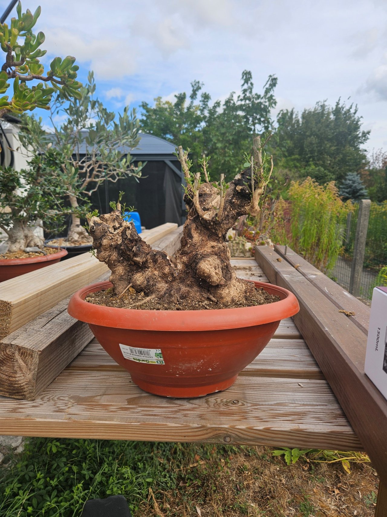Photo 17