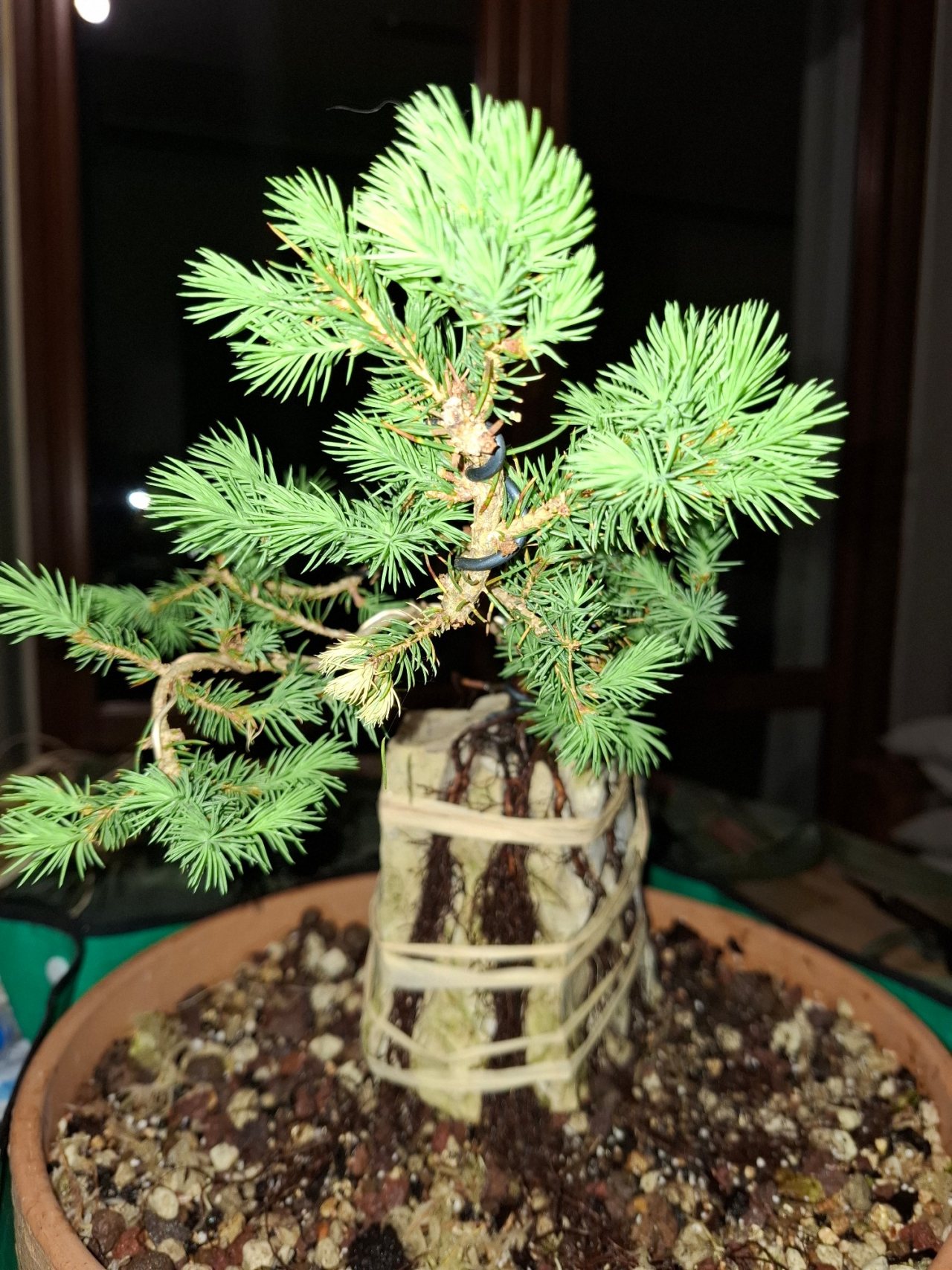 Photo 19