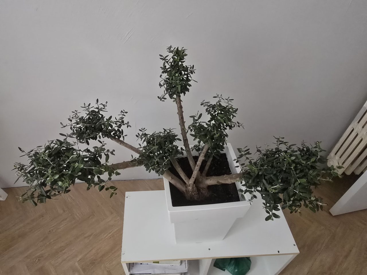 Photo 13