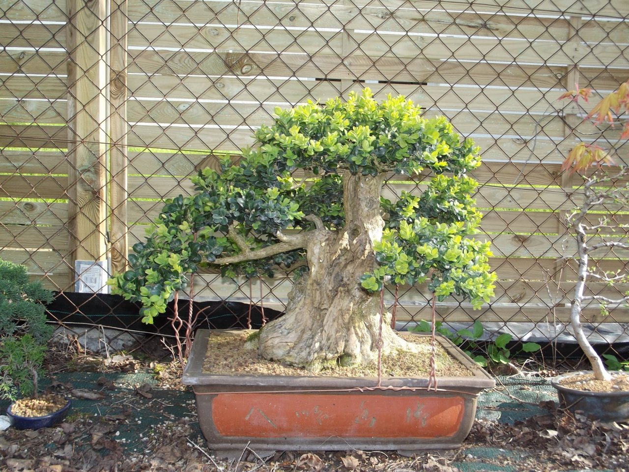 Photo 5