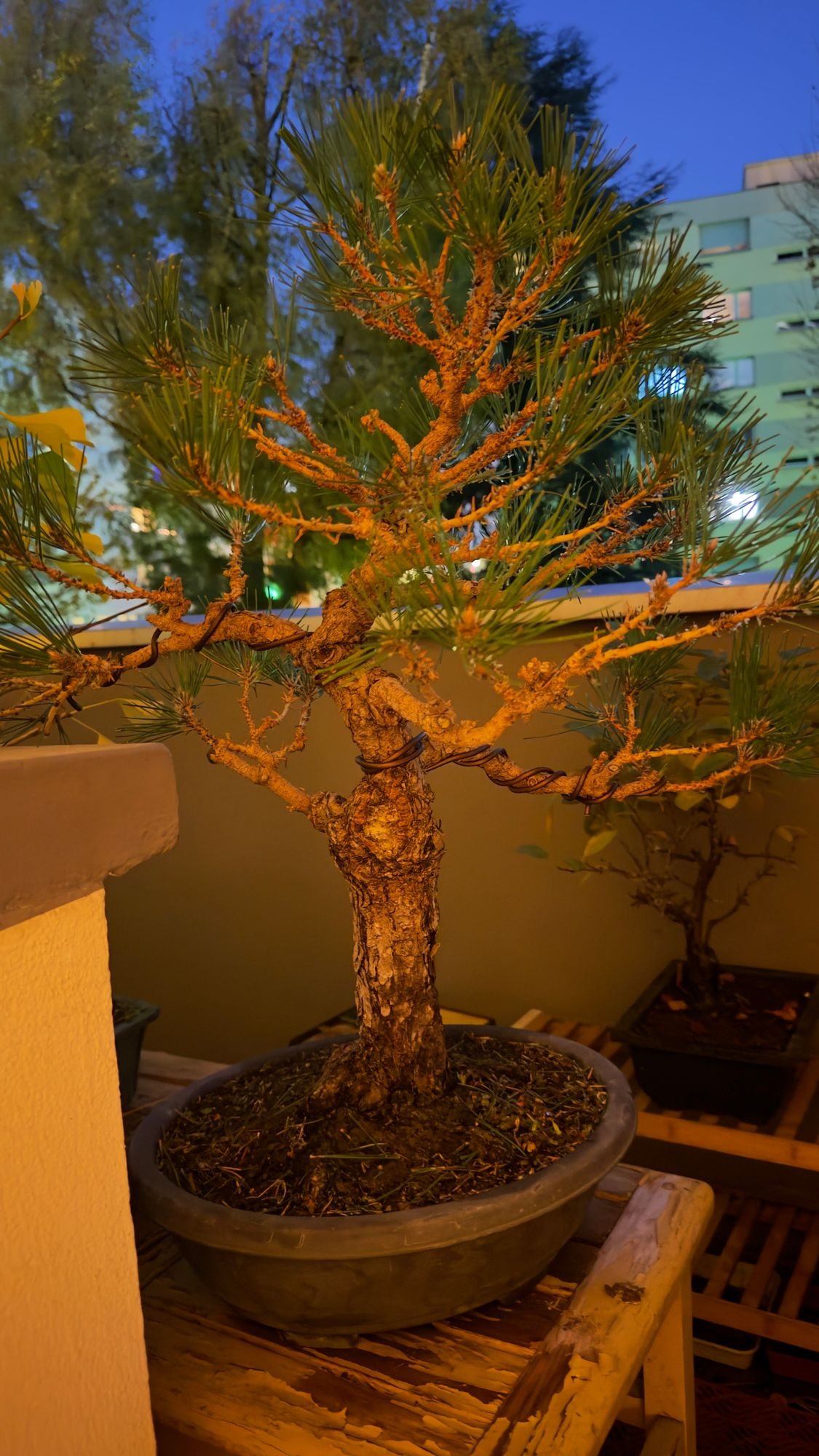 Photo 4