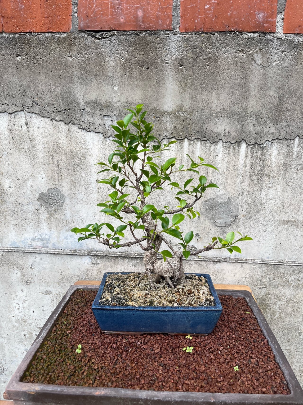 Photo 21