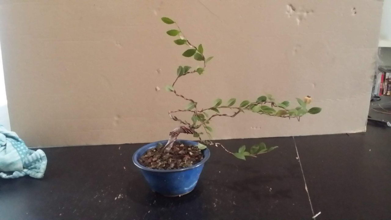 Photo 2