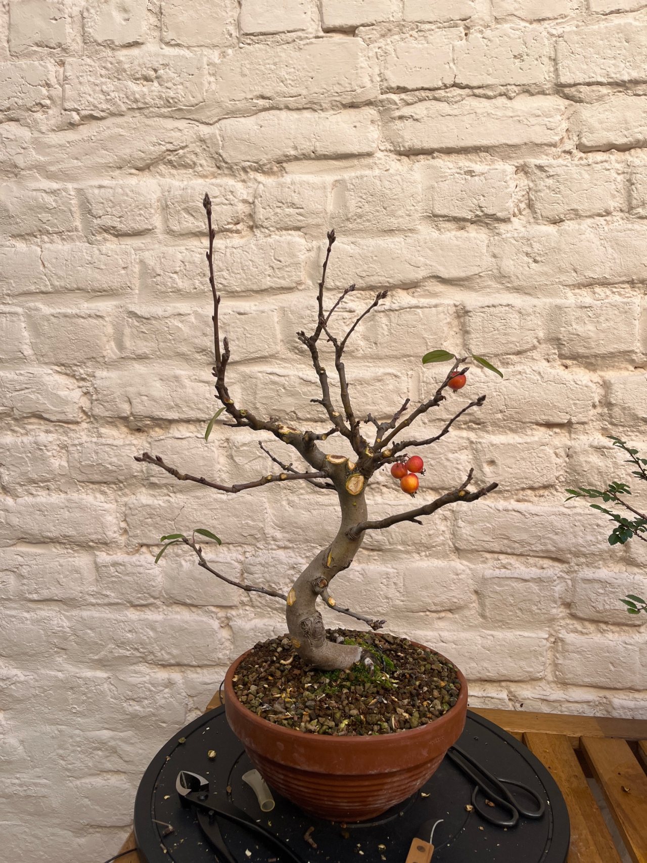 Photo 21