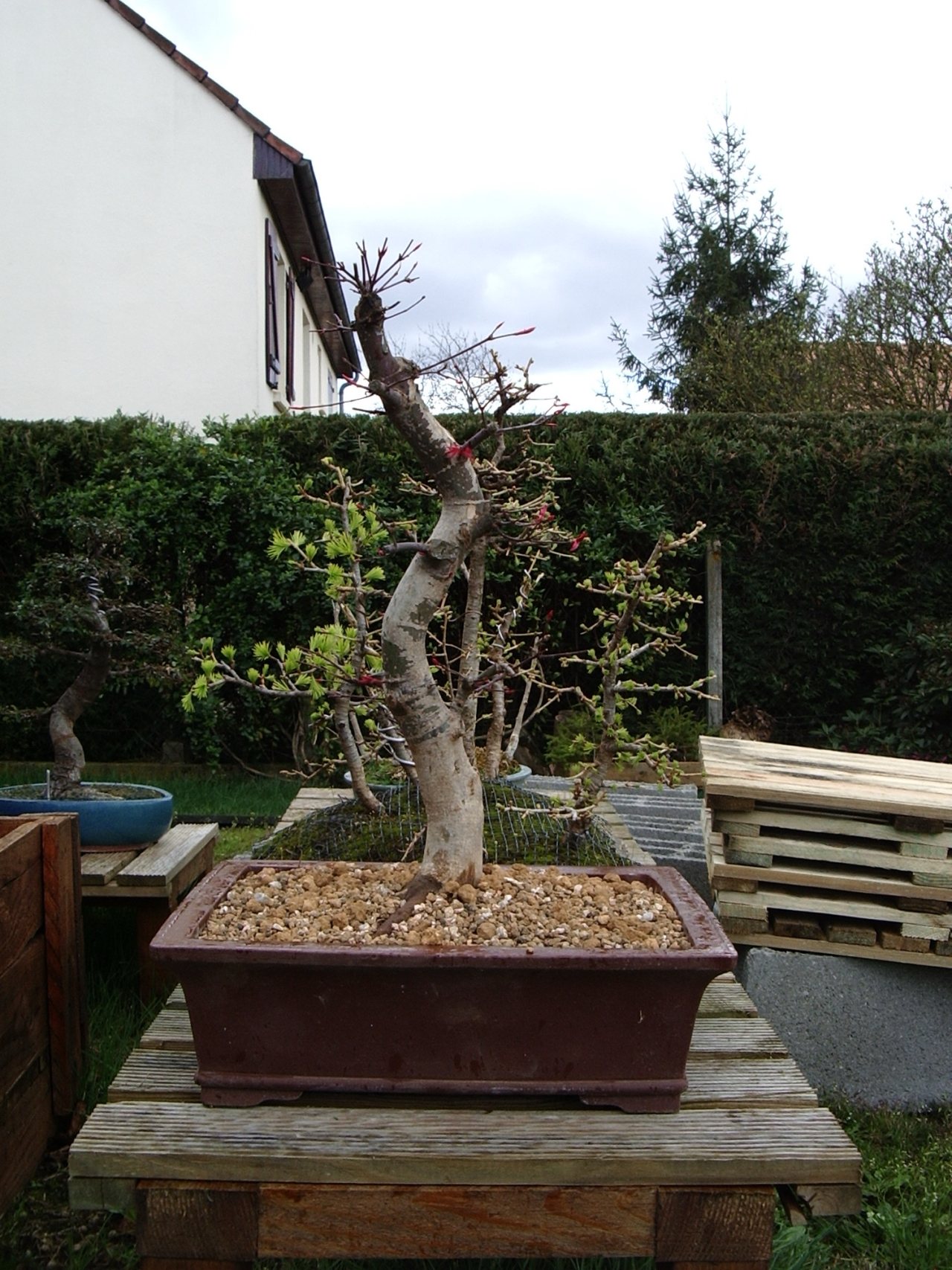 Photo 4