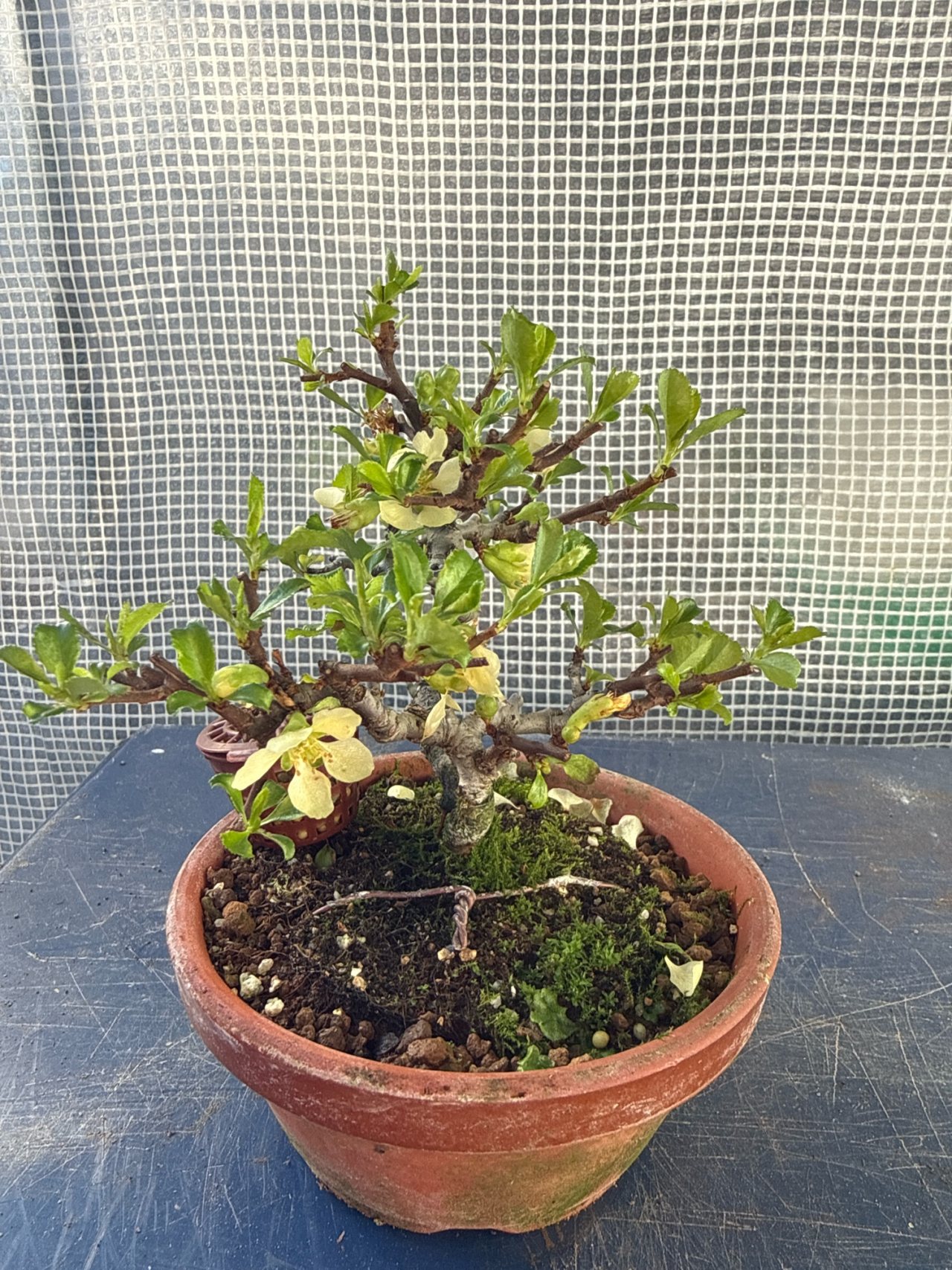 Photo 17