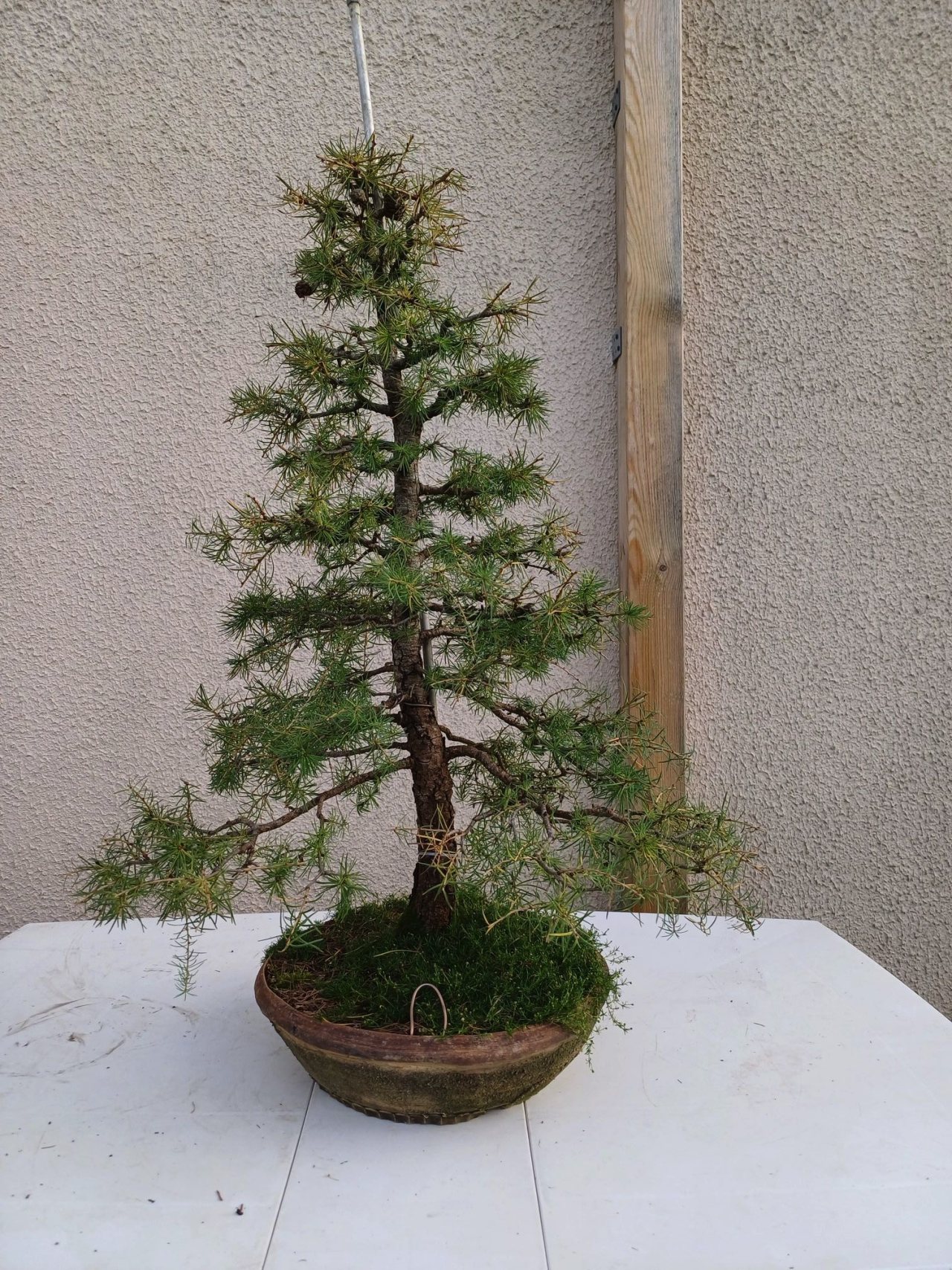 Photo 4