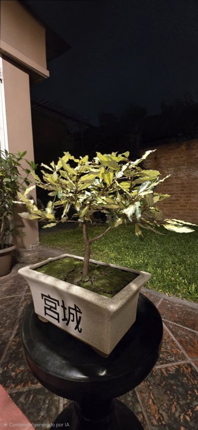 Miyagi