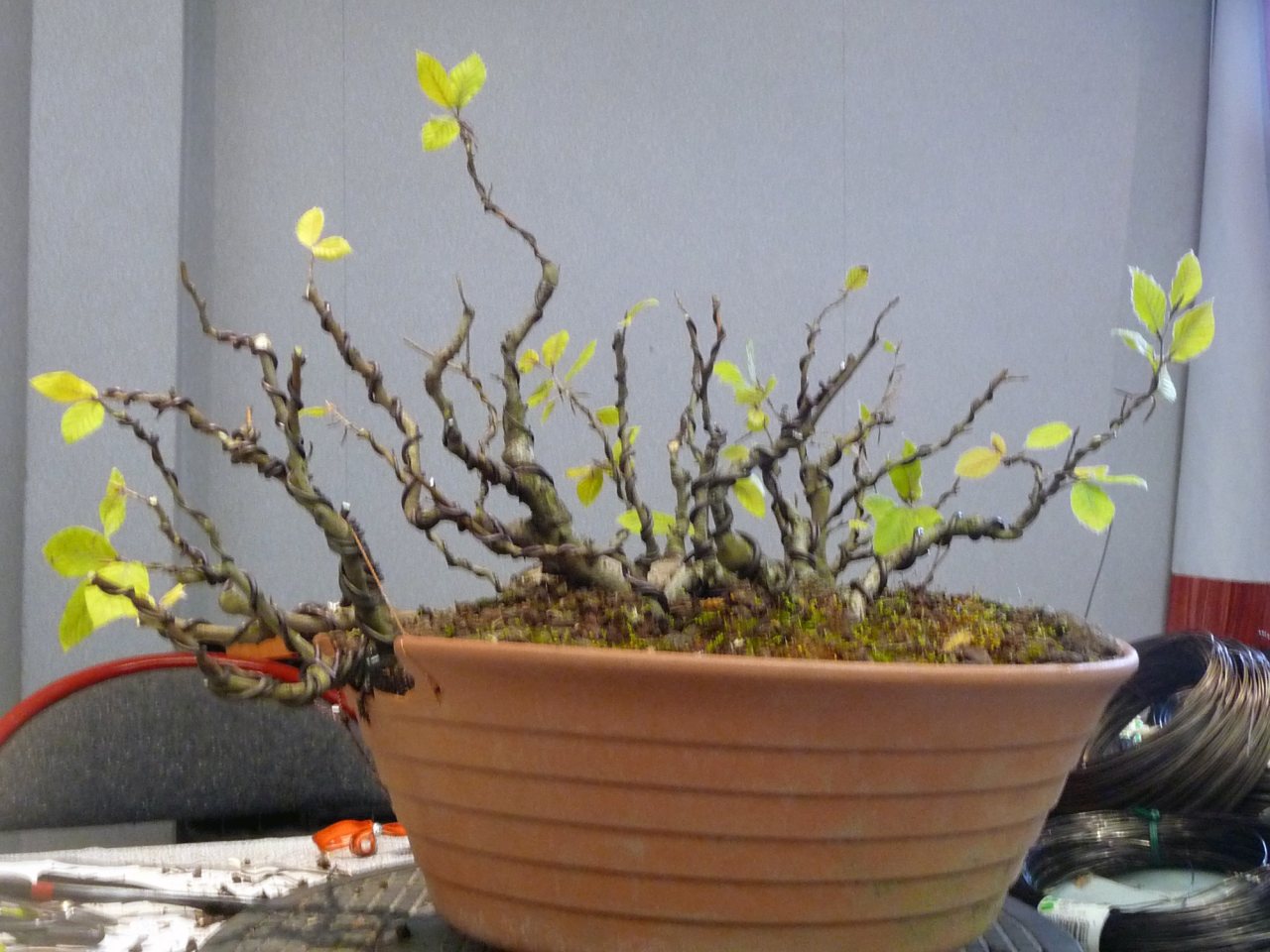Photo 12