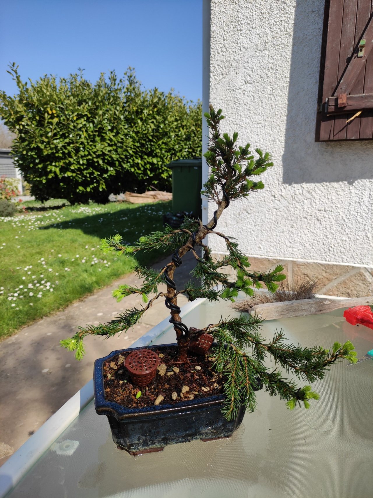 Photo 6