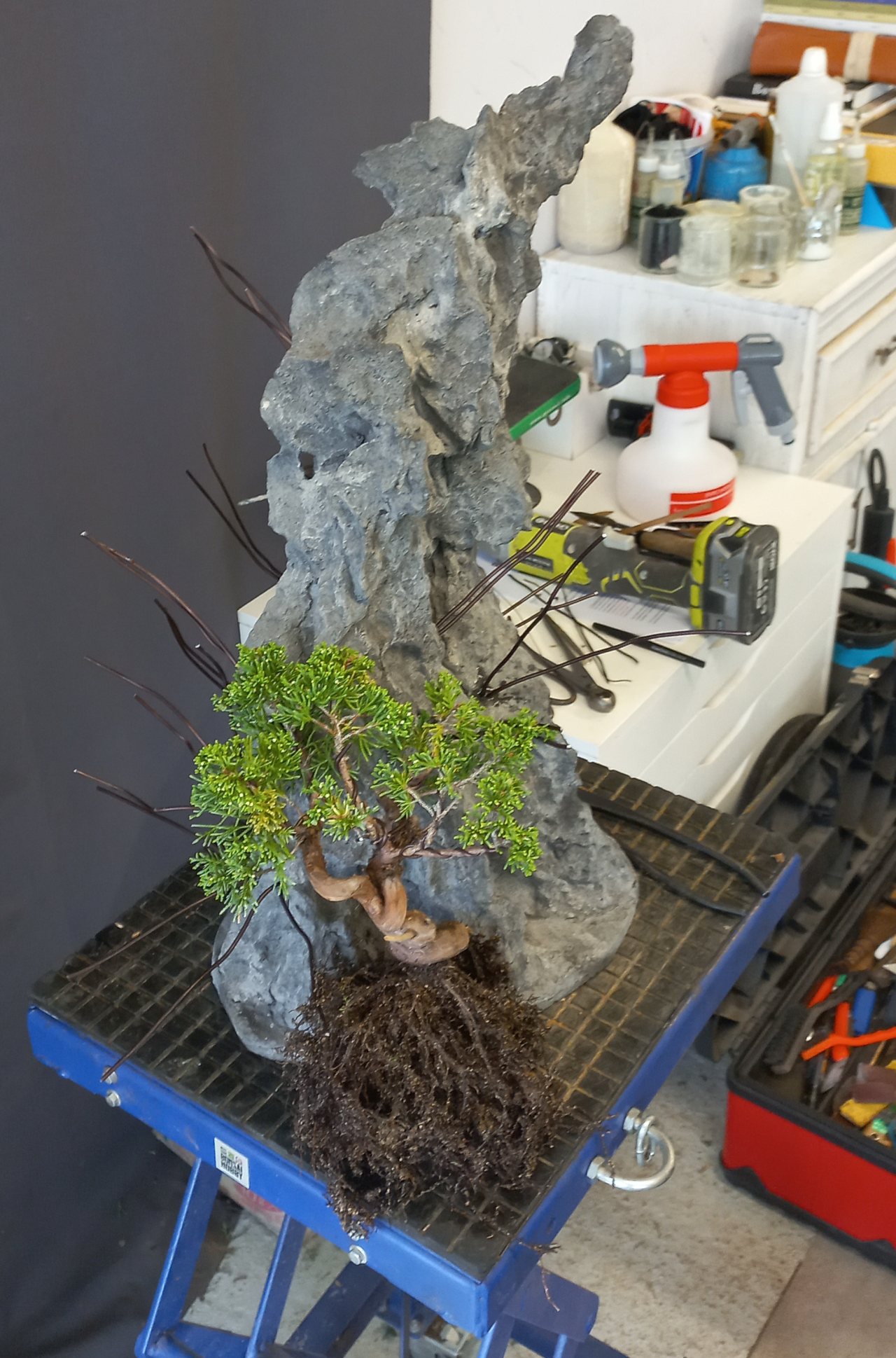 Photo 18