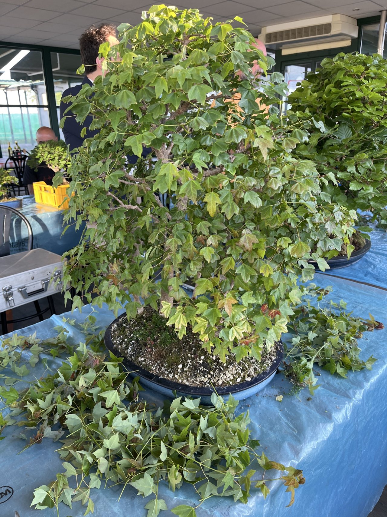 Photo 14