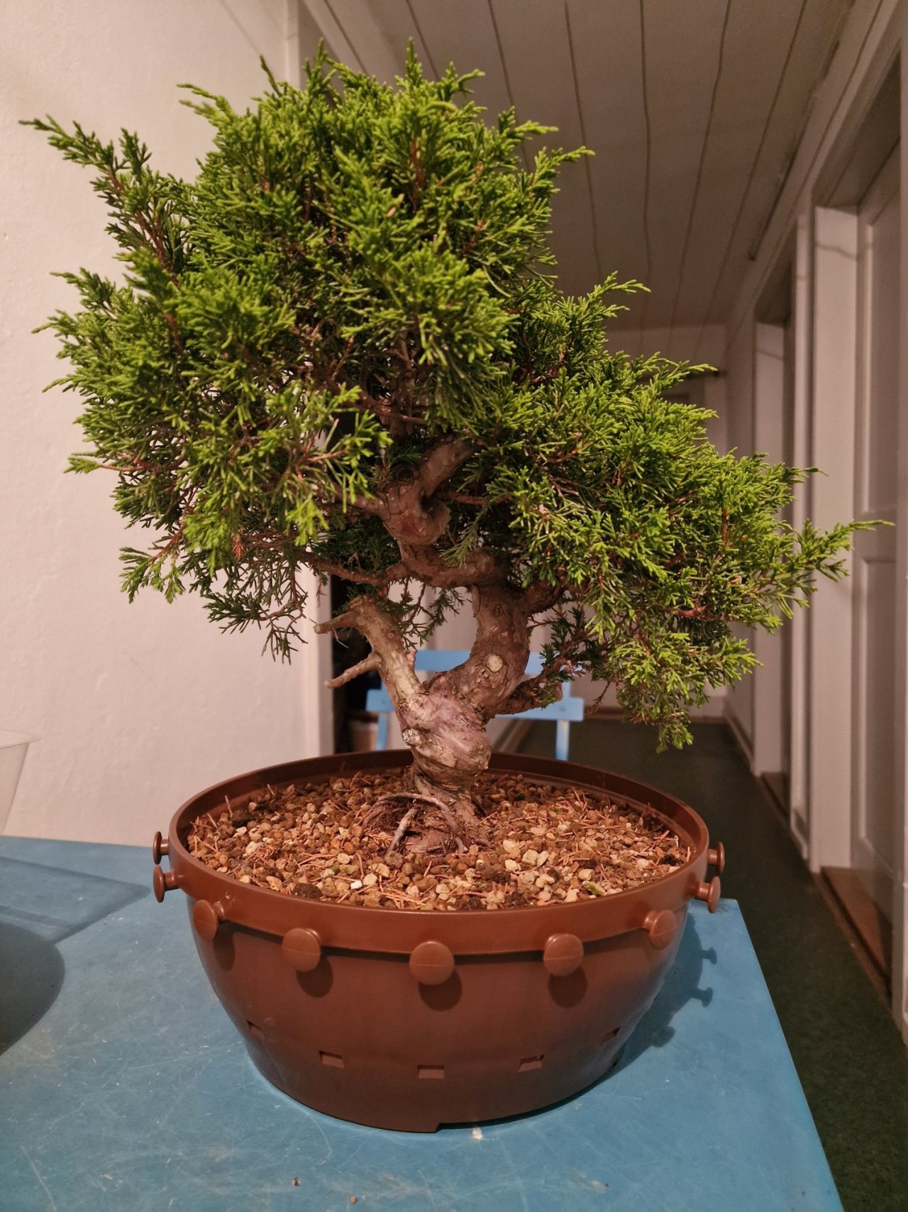 Photo 18