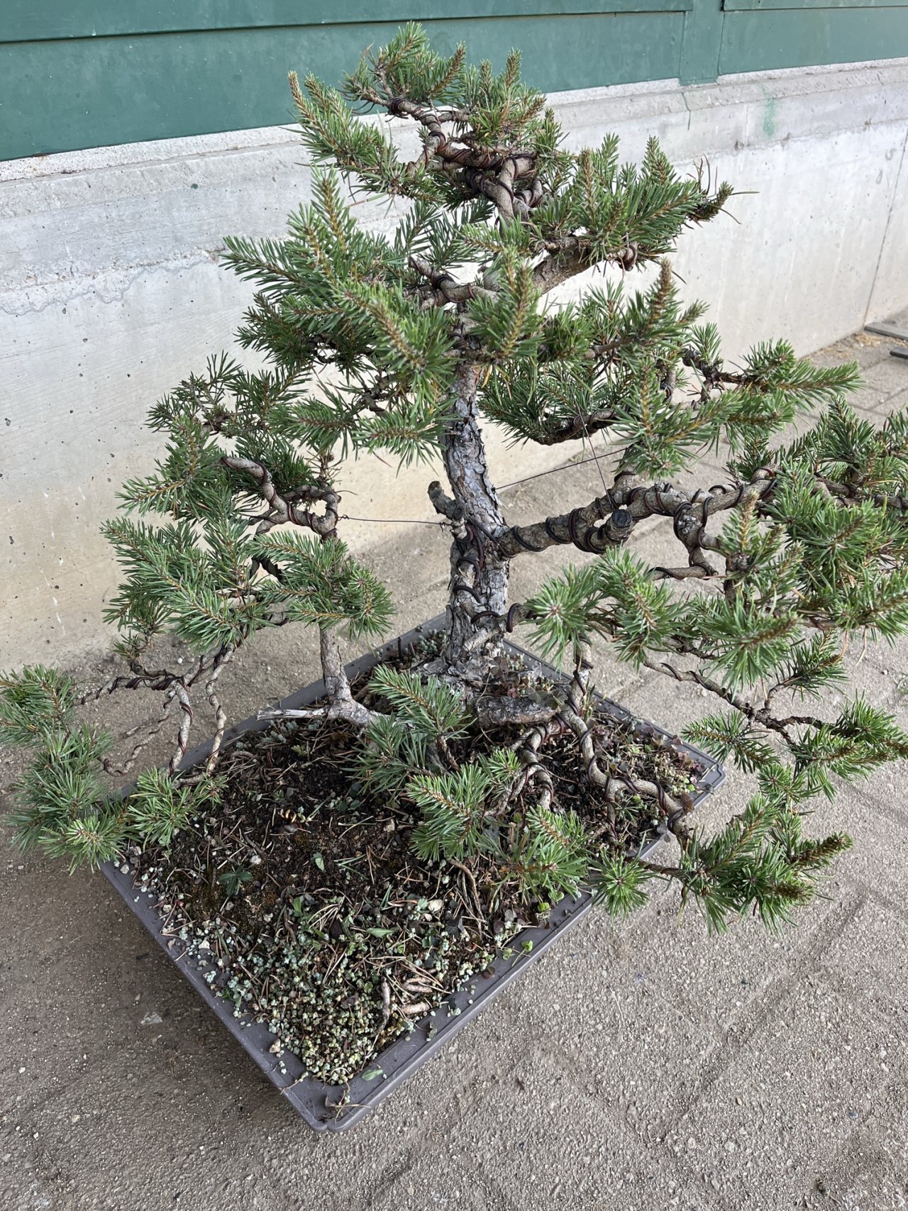 Photo 14