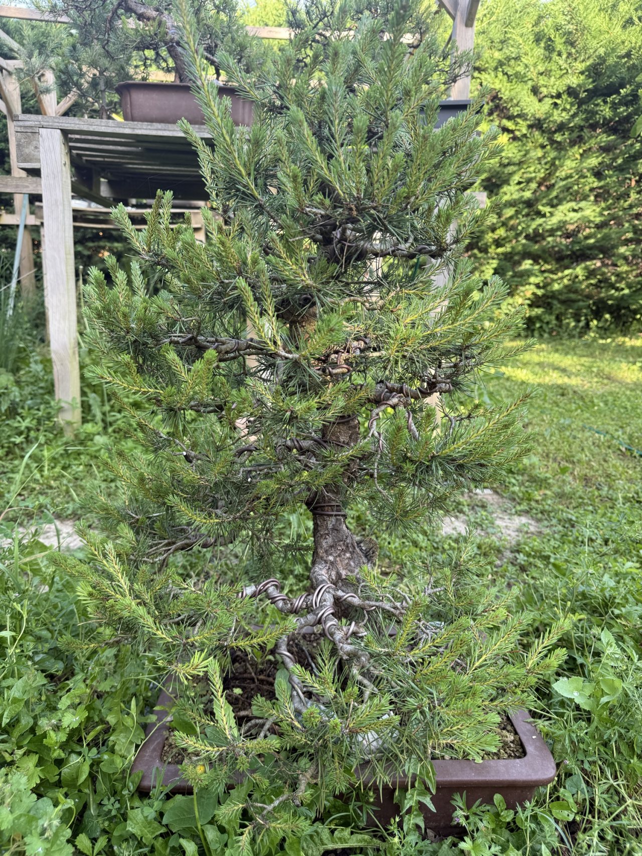 Photo 3