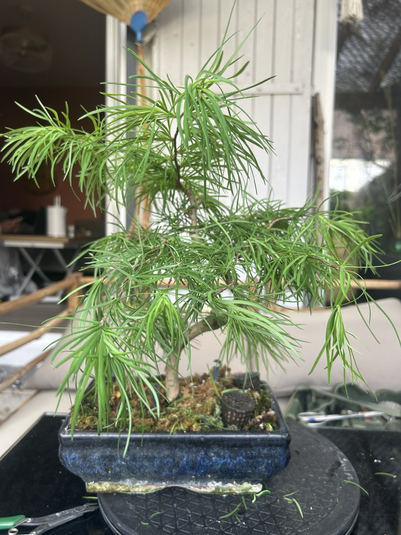 Photo 19