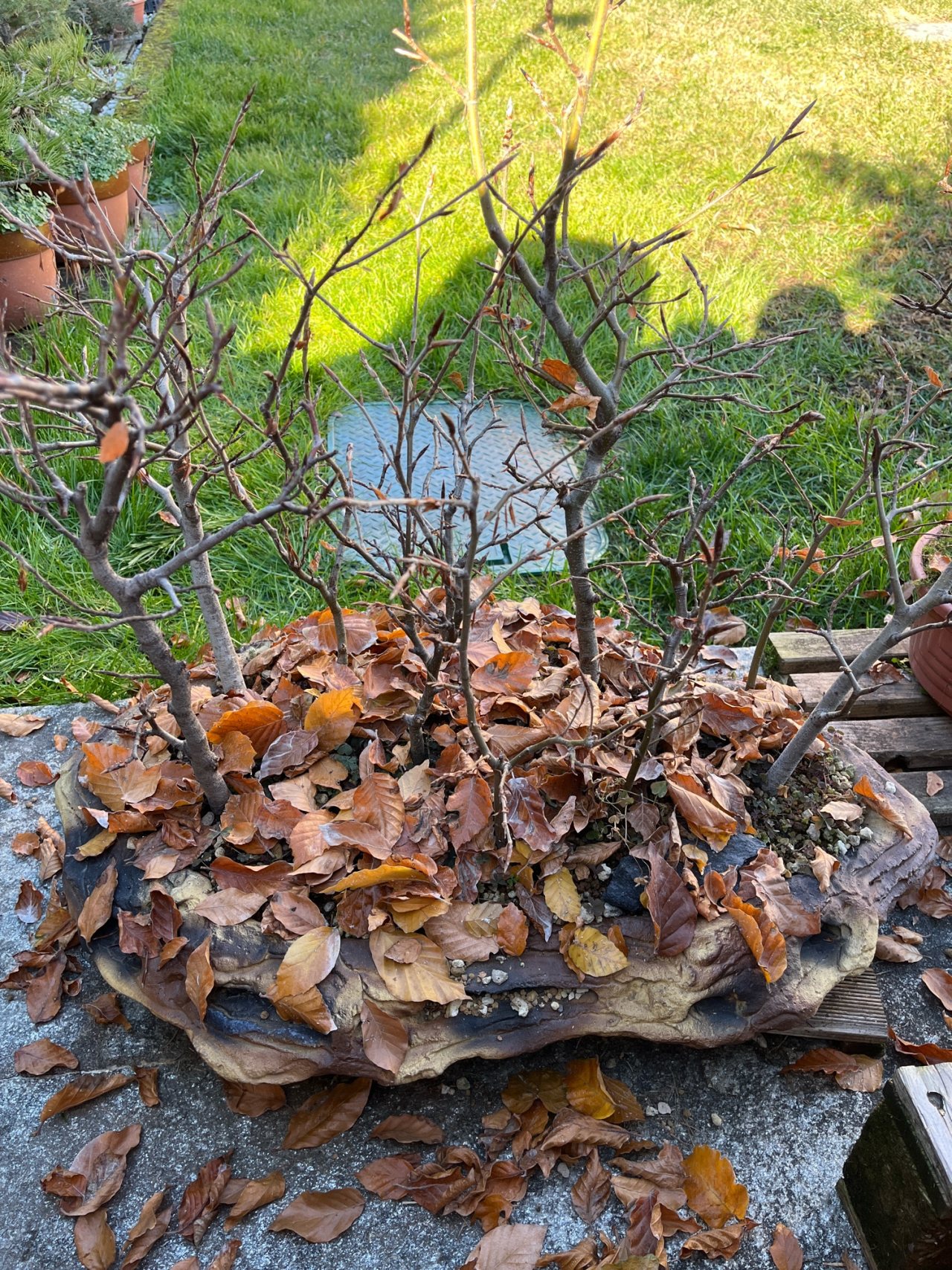 Photo 13