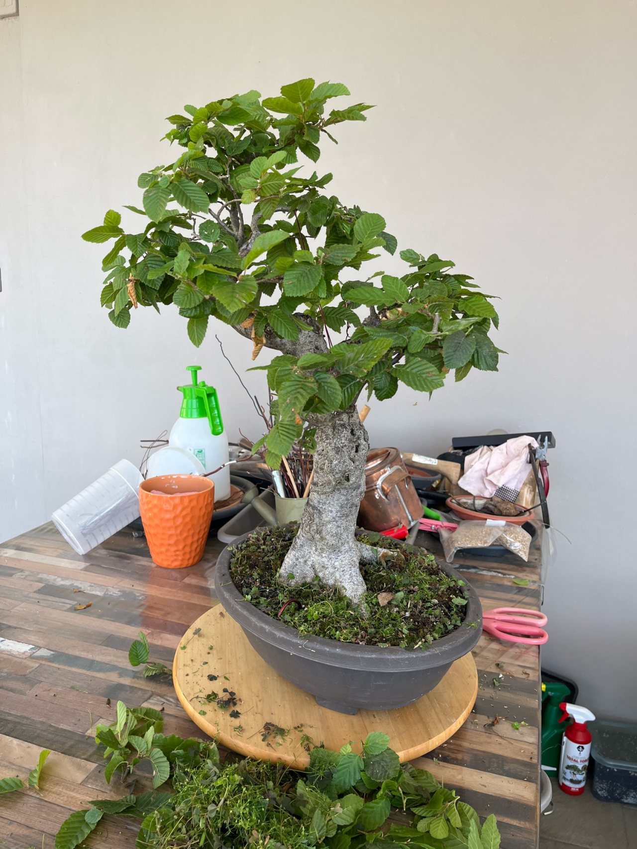 Photo 13