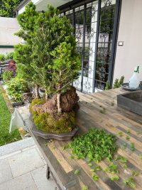 Kneifen - 17.04.26 - Photo 1/1