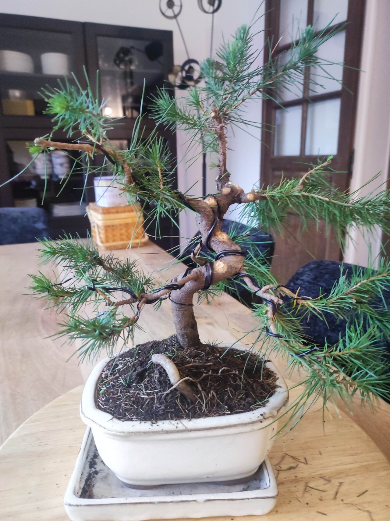 Photo 3